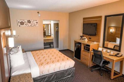 Quality Inn & Suites near Six Flags - Austell - image 9