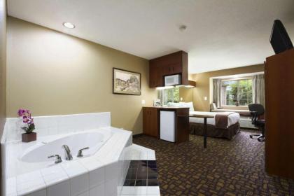 Microtel Inn & Suites by Wyndham Lithonia/Stone Mountain - image 13