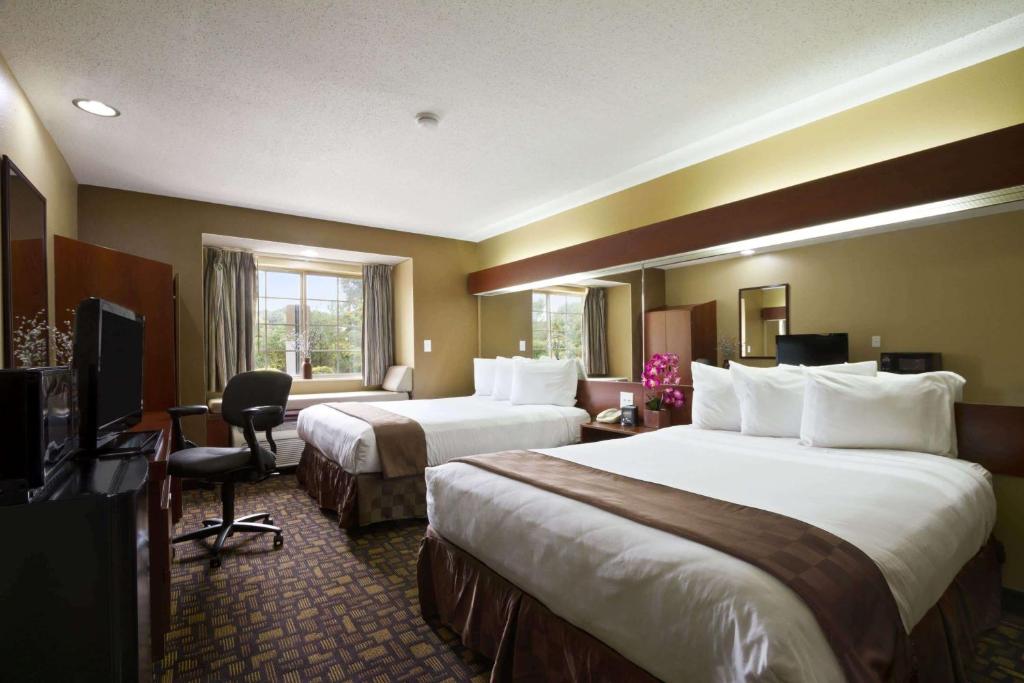 Microtel Inn & Suites by Wyndham Lithonia/Stone Mountain - image 7