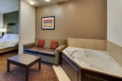 Holiday Inn Express Hotel & Suites Lancaster-Lititz an IHG Hotel - image 9