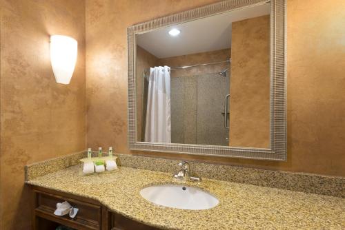 Holiday Inn Express Suites Little Rock West an IHG Hotel - image 3