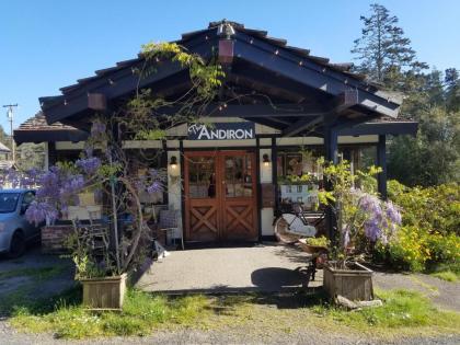 the Andiron Seaside Inn  Cabins California