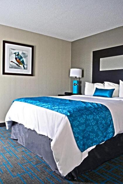 Holiday Inn & Suites Syracuse Airport - Liverpool an IHG Hotel - image 16