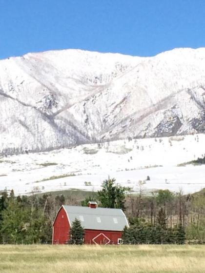 Pine Creek Cabin Livingston Montana - image 8