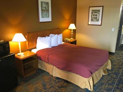 Americas Best Value Inn-Livonia/Detroit - image 6