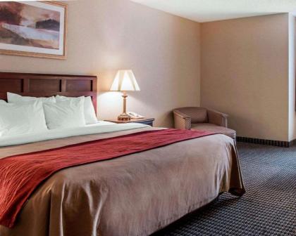 Comfort Inn of Livonia - image 10