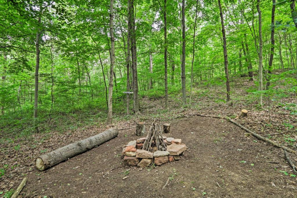 Quiet Cabin with Hot Tub and Trails about 15Mi to State Parks - image 2