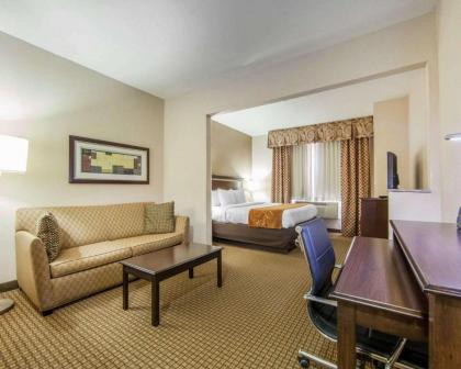 Comfort Suites London - image 11