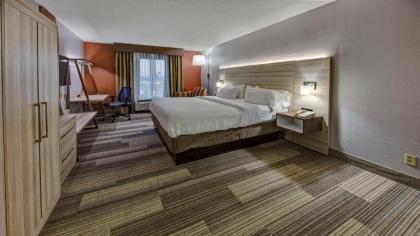 Holiday Inn Express Hotel & Suites London an IHG Hotel - image 2