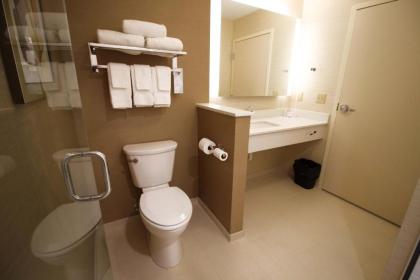 Fairfield Inn & Suites by Marriott London - image 11