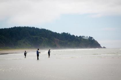 Long beach Camping Resort Yurt 8 - image 14