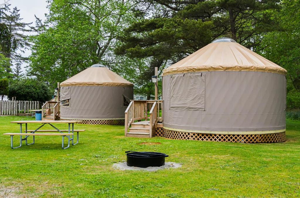 Long beach Camping Resort Yurt 8 - image 3