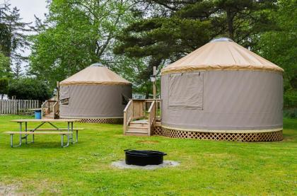 Long beach Camping Resort Yurt 9 - image 3