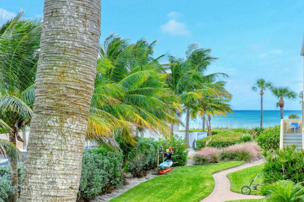 LaPlaya 201E Nestled in the palms just steps from the pool - image 7