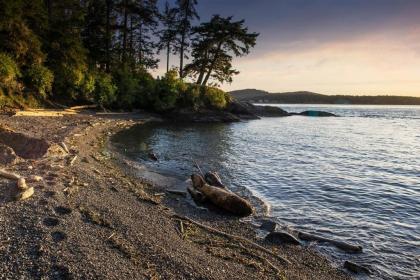 The Beach House on Lopez Island - image 11