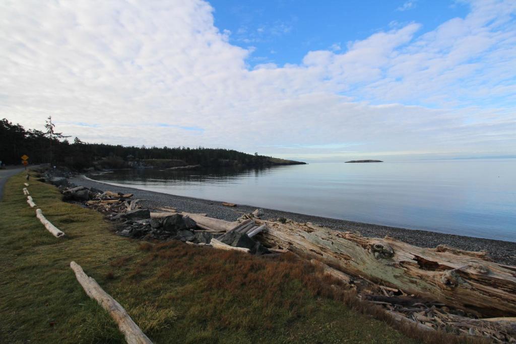 Lopez Island Agate Beach Waterfront Home - main image