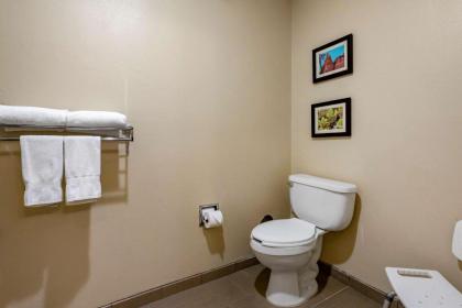 Comfort Inn & Suites Los Alamos - image 15