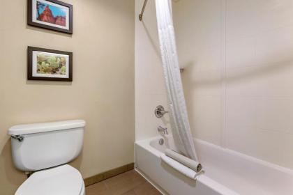 Comfort Inn & Suites Los Alamos - image 2