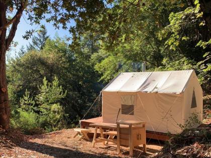 Luxury tents in Los Gatos California