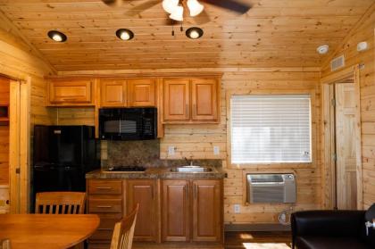 Ponderosa Camping Resort One-Bedroom Cabin 4 - image 3