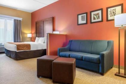 Comfort Suites Airport Louisville - image 4