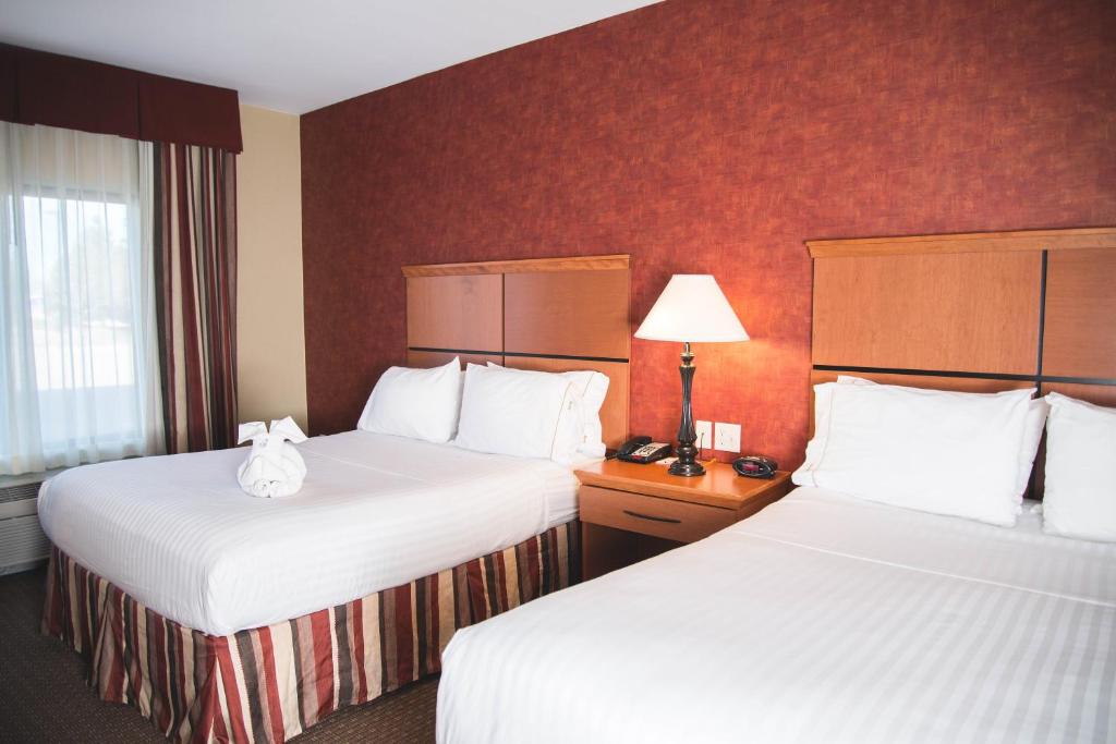 Holiday Inn Express Hotel & Suites Loveland an IHG Hotel - image 7