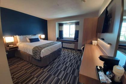 Microtel Inn & Suites by Wyndham Loveland - image 2