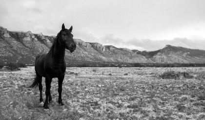 Wyoming High Country Lodge - image 10