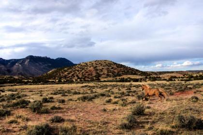 Wyoming High Country Lodge - image 5