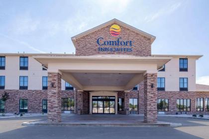 Comfort Inn & Suites Lovington - image 1