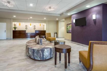 Comfort Inn & Suites Lovington - image 12