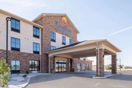 Comfort Inn & Suites Lovington - image 5