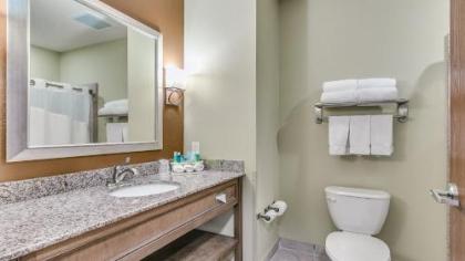 Holiday Inn Express & Suites Lubbock Southwest – Wolfforth an IHG Hotel - image 2