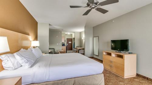 Holiday Inn Express & Suites Lubbock Southwest – Wolfforth an IHG Hotel - image 3