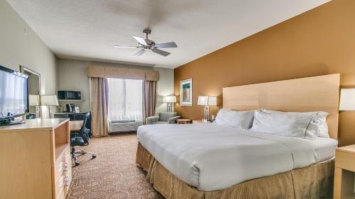 Holiday Inn Express & Suites Lubbock Southwest – Wolfforth an IHG Hotel - image 4