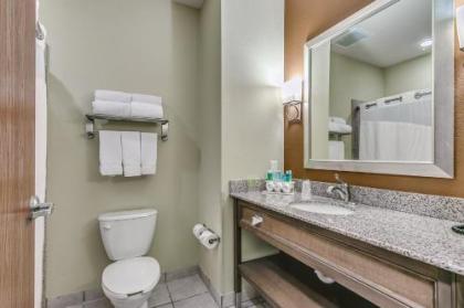 Holiday Inn Express & Suites Lubbock Southwest – Wolfforth an IHG Hotel - image 5