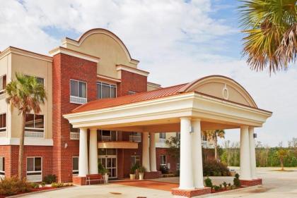 Holiday Inn Express Hotel & Suites Lucedale an IHG Hotel - image 1