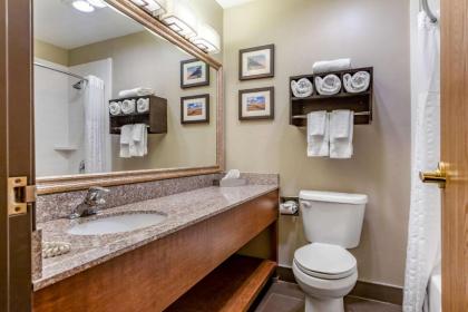 Comfort Inn Ludington - image 14