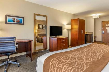 Comfort Inn Ludington - image 15