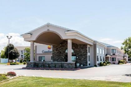 Comfort Inn Ludington - image 2