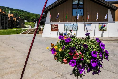 Okemo Mountain Condo - image 3