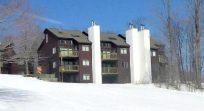 2 Br In Kettle Brook- Okemo Condo - image 3