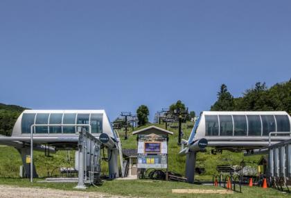 Aspen in Okemo - image 3