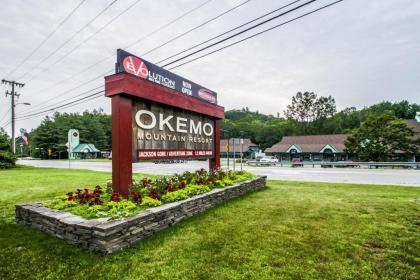 Aspen in Okemo - image 4