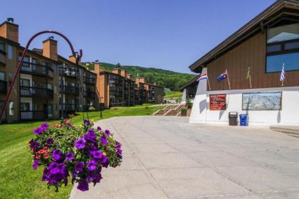 Aspen in Okemo - image 6