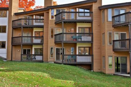 Aspen in Okemo - image 8