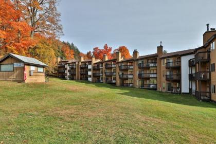 Aspen in Okemo - image 9