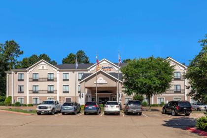 Comfort Suites Lufkin - image 4