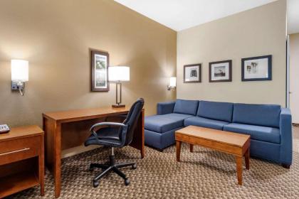 Comfort Suites Lufkin - image 9