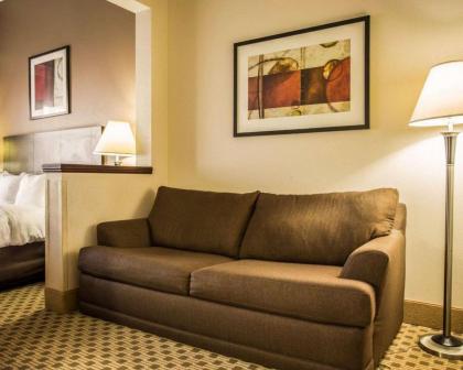 Comfort Suites Lumberton - image 13